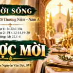 Lời Sống (Chúa Nhật 28 Thường Niên – Năm A)