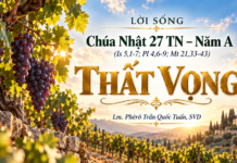 LỜI SỐNG (Chúa Nhật 27 TN – Năm A)