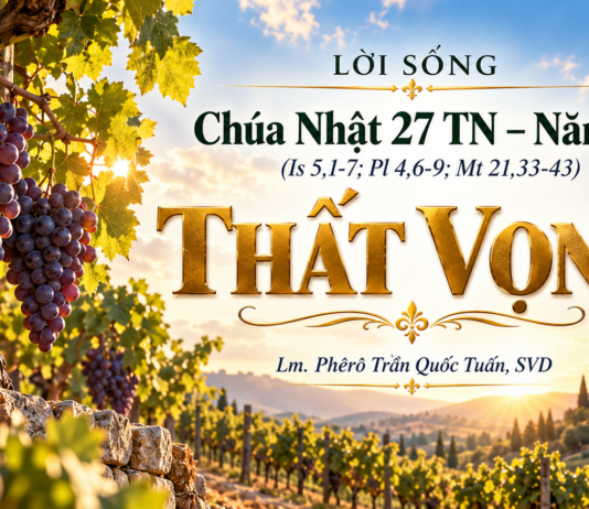 LỜI SỐNG (Chúa Nhật 27 TN – Năm A)
