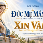 LỜI SỐNG (7/10, Đức Mẹ Mân Côi – Lễ Nhớ)