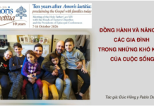 ĐỒNG HÀNH VÀ NÂNG ĐỠ CÁC GIA ĐÌNH TRONG NHỮNG KHÓ KHĂN CỦA CUỘC SỐNG – BÀI CHIA SẺ CỦA ĐỨC HỒNG Y PABLO VIRGILIO SIONGCO DAVID