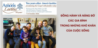 ĐỒNG HÀNH VÀ NÂNG ĐỠ CÁC GIA ĐÌNH TRONG NHỮNG KHÓ KHĂN CỦA CUỘC SỐNG – BÀI CHIA SẺ CỦA ĐỨC HỒNG Y PABLO VIRGILIO SIONGCO DAVID