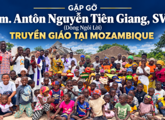 GẶP GỠ I Lm. Antôn Nguyễn Tiên Giang, SVD I Truyền giáo tại Mozambique