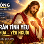 LỜI SỐNG (Chúa Nhật 30 Thường Niên – Năm A)