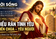 LỜI SỐNG (Chúa Nhật 30 Thường Niên – Năm A)